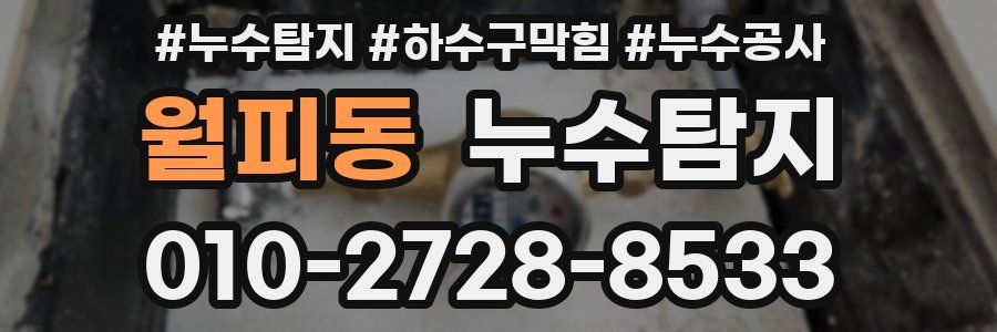 월피동 누수탐지업체