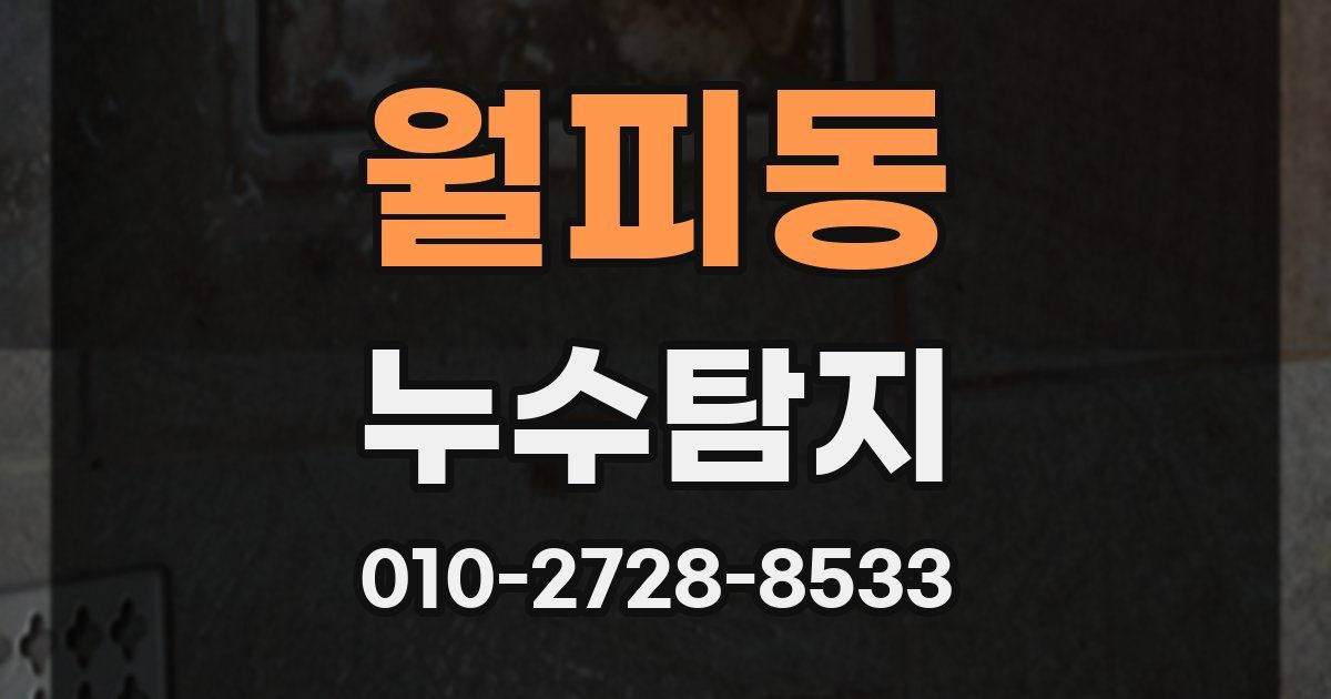 월피동 누수공사