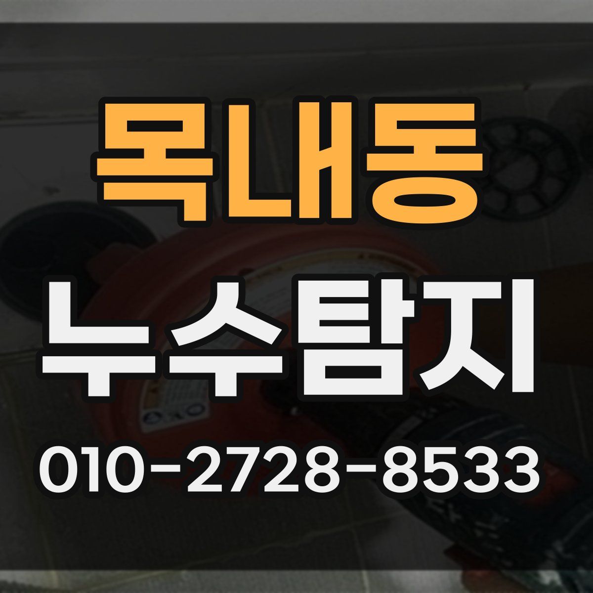 목내동 누수탐지