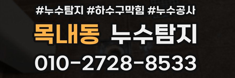 목내동 누수탐지업체
