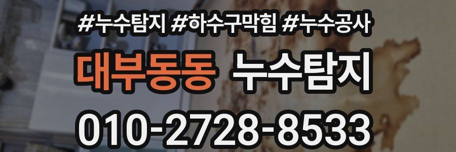 대부동동 누수탐지업체