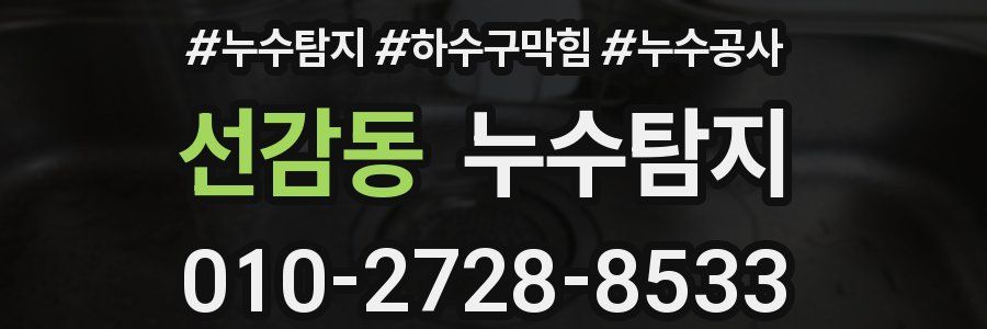선감동 누수탐지업체