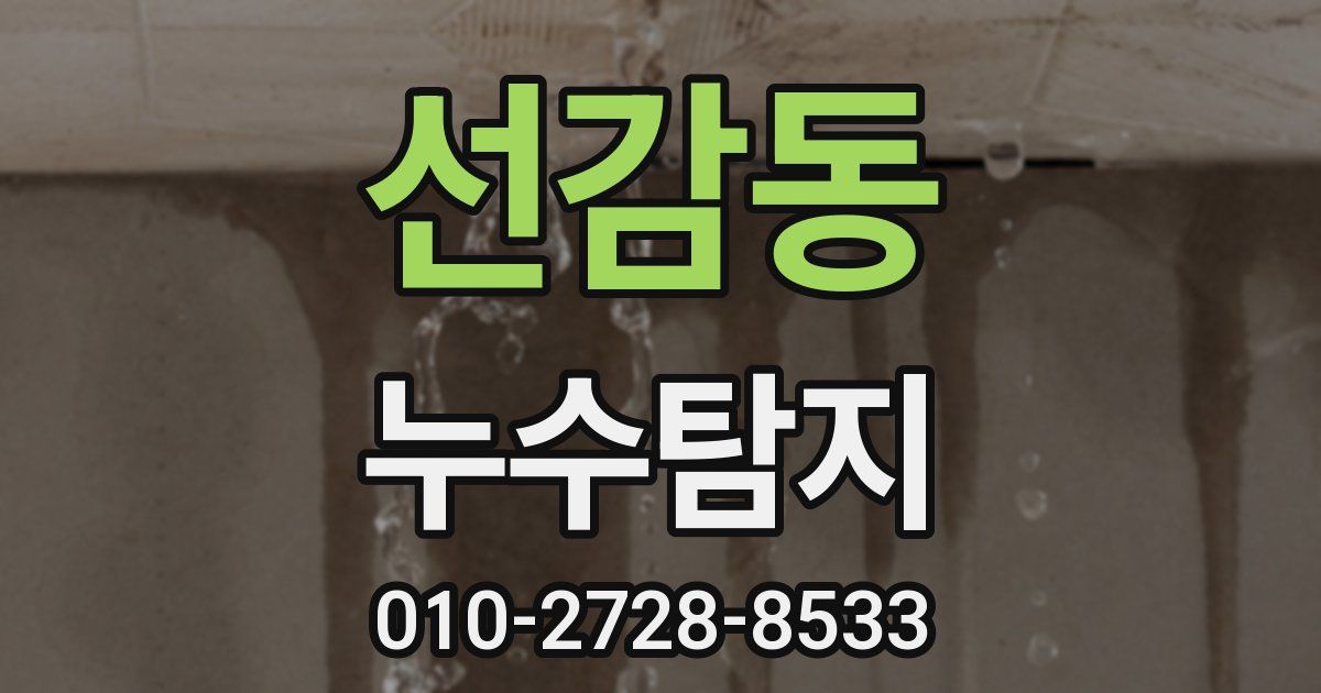선감동 누수공사