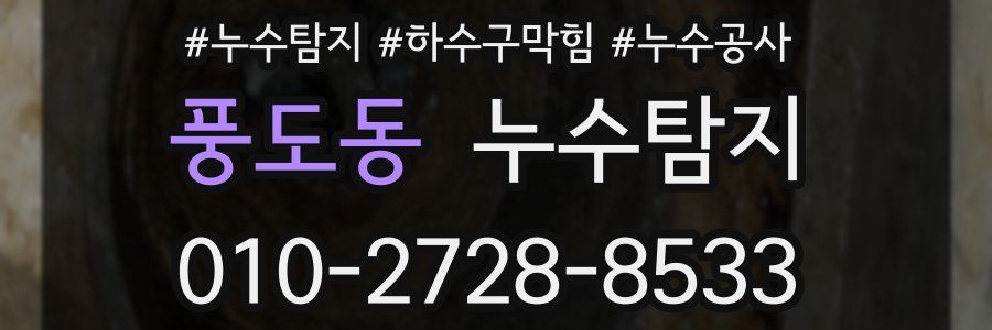 풍도동 누수탐지업체