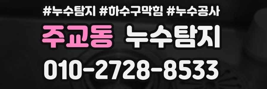 주교동 누수탐지업체