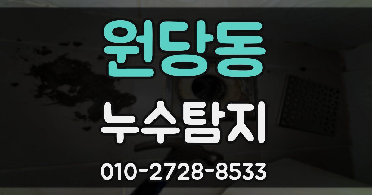 원당동 누수공사