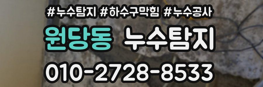 원당동 누수탐지업체