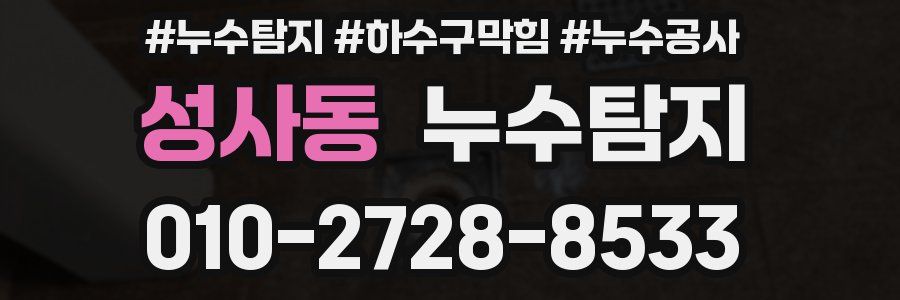 성사동 누수탐지업체