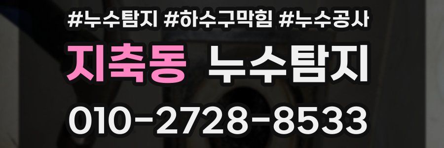 지축동 누수탐지업체