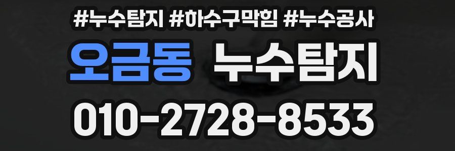 오금동 누수탐지업체