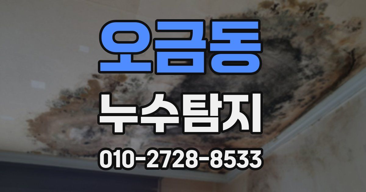 오금동 누수공사