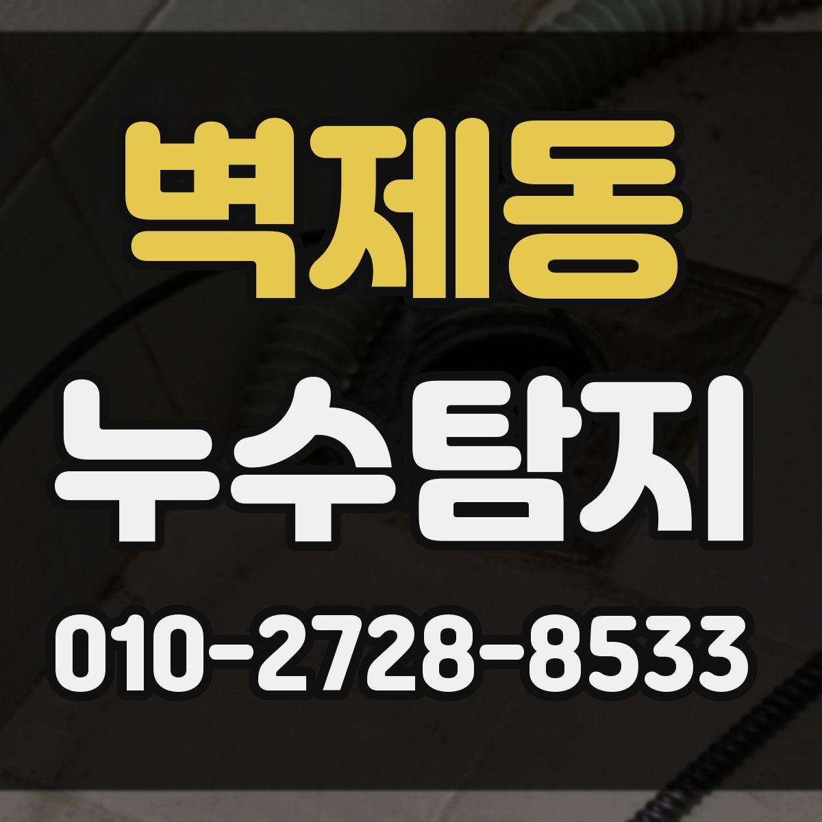 벽제동 누수탐지
