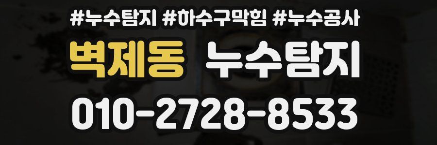 벽제동 누수탐지업체