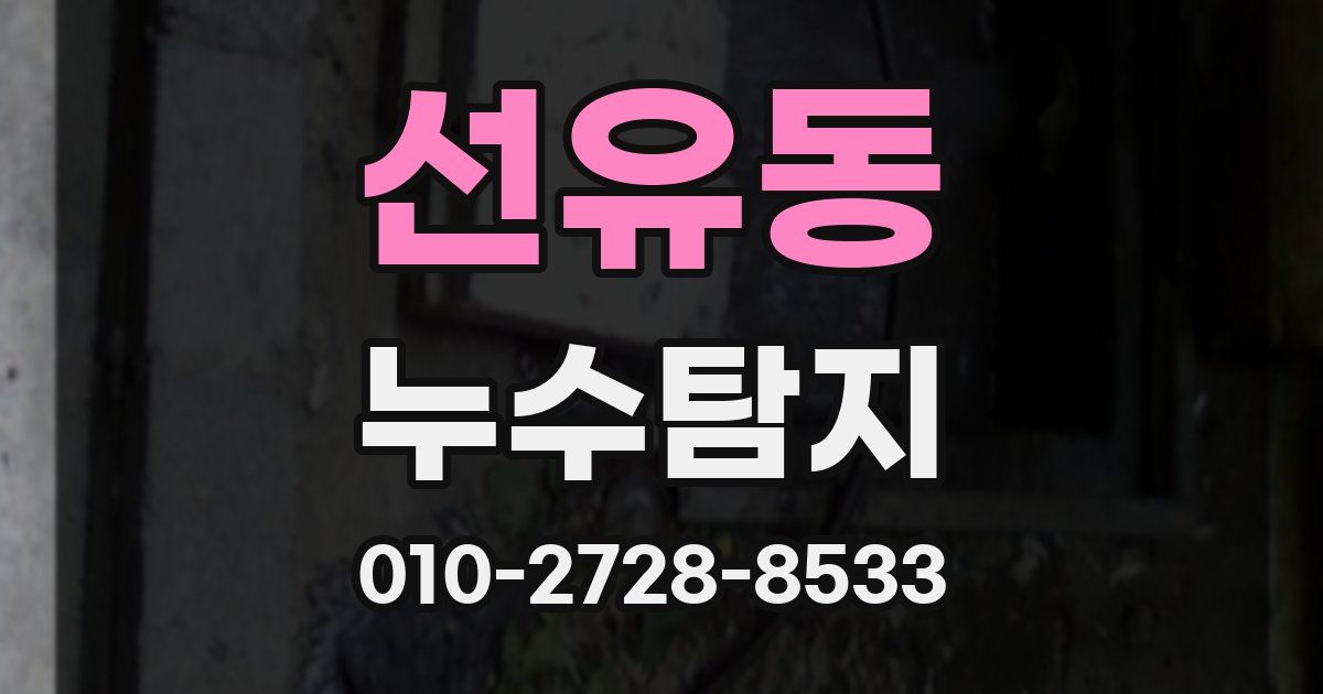 선유동 누수공사