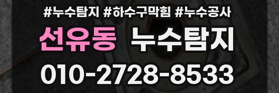 선유동 누수탐지업체
