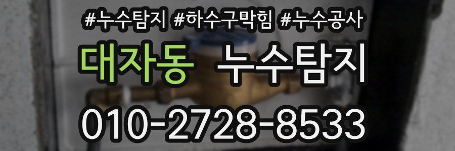 대자동 누수탐지업체