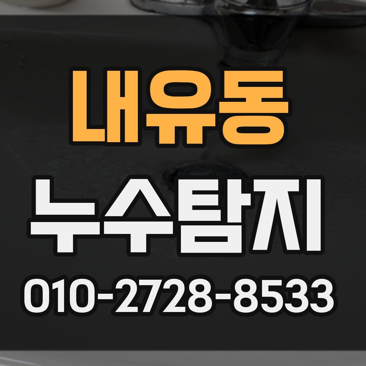 내유동 누수탐지
