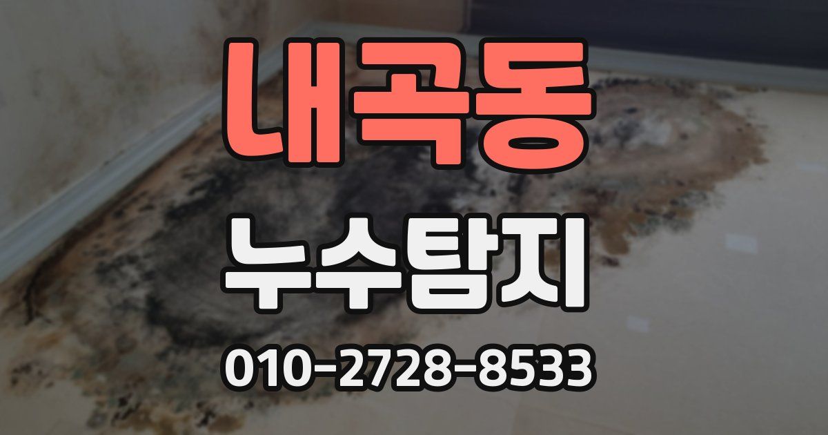 내곡동 누수공사
