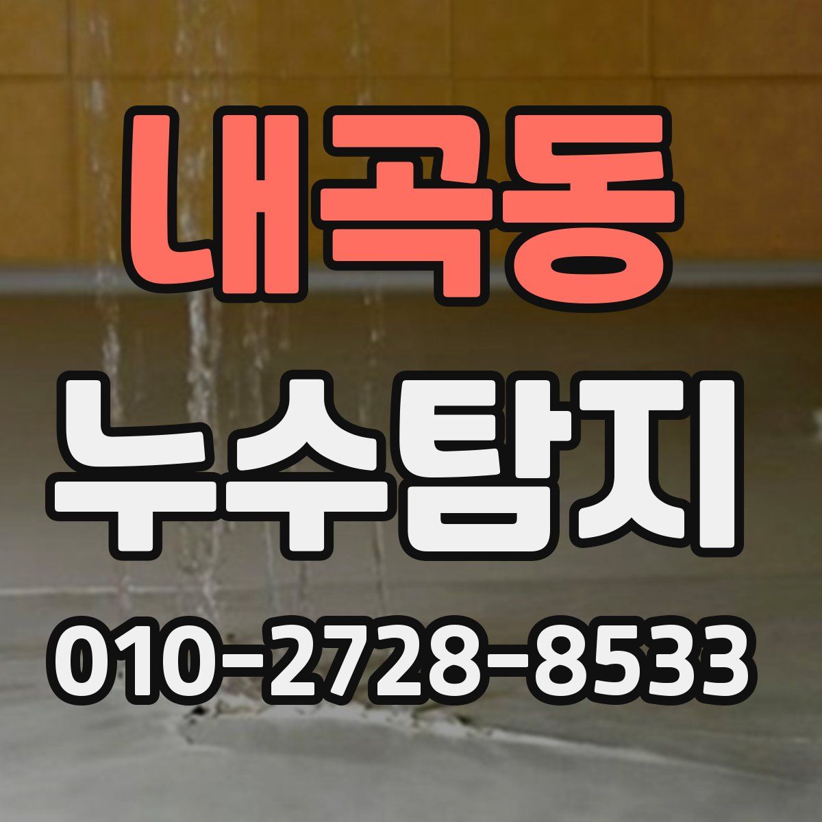 내곡동 누수탐지