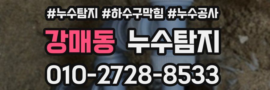 강매동 누수탐지업체