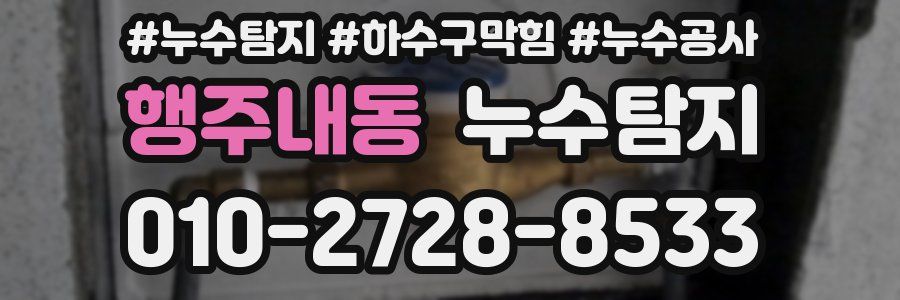 행주내동 누수탐지업체