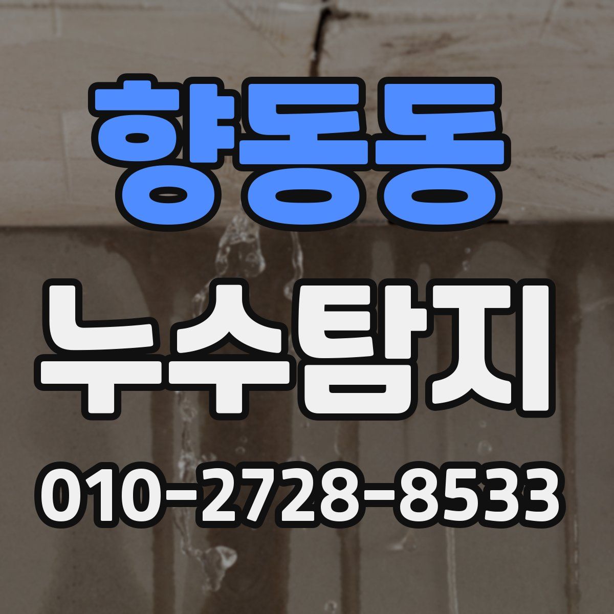 향동동 누수탐지