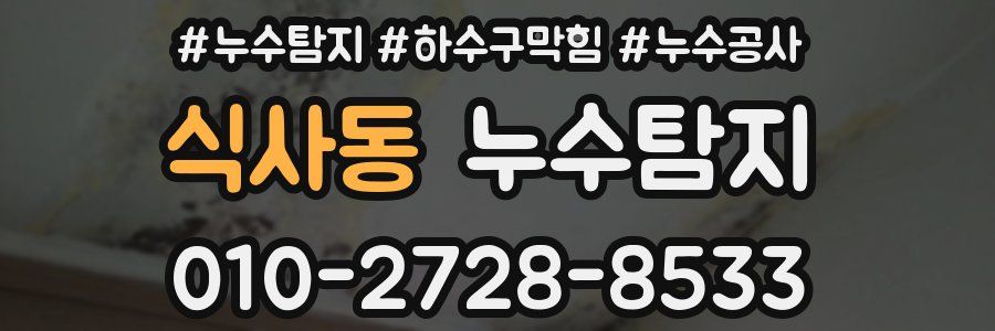 식사동 누수탐지업체