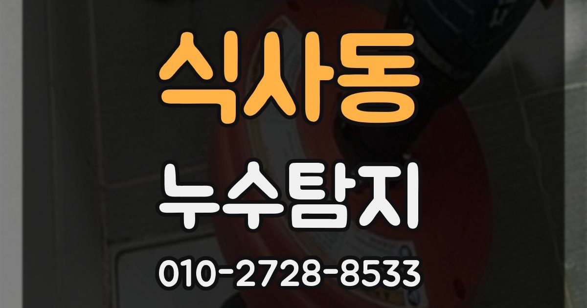식사동 누수공사
