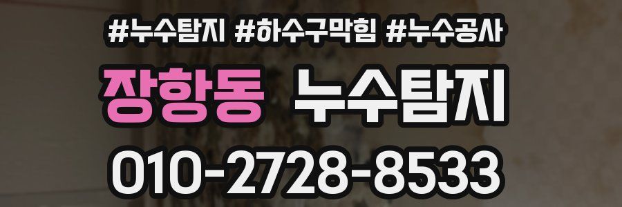 장항동 누수탐지업체