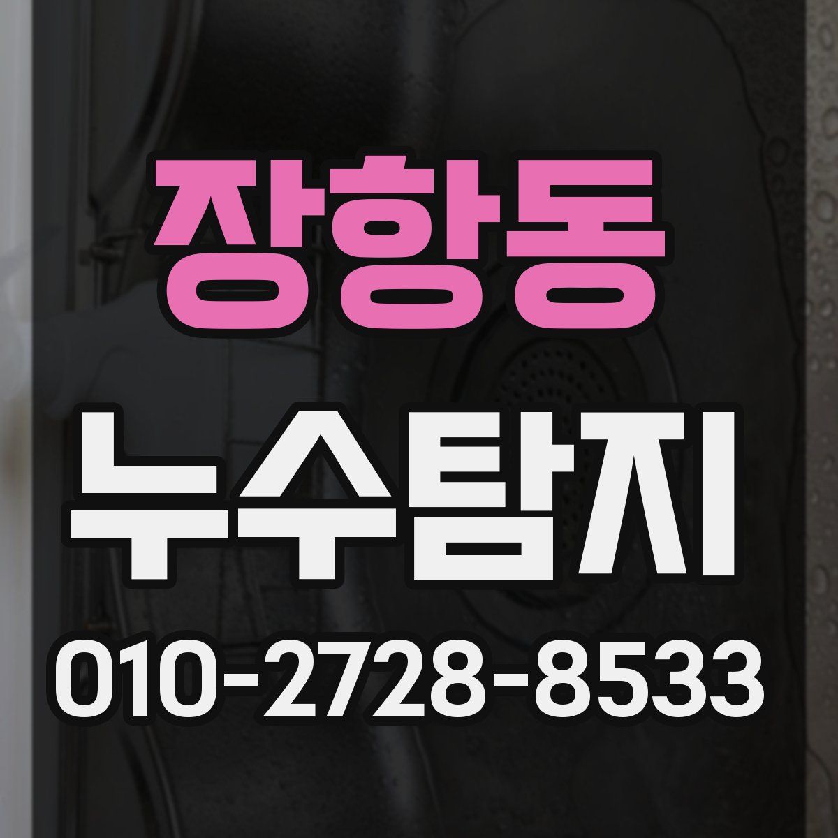 장항동 누수탐지