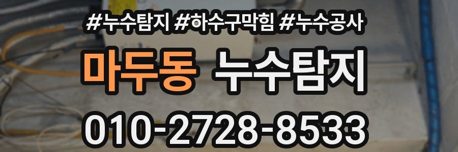 마두동 누수탐지업체