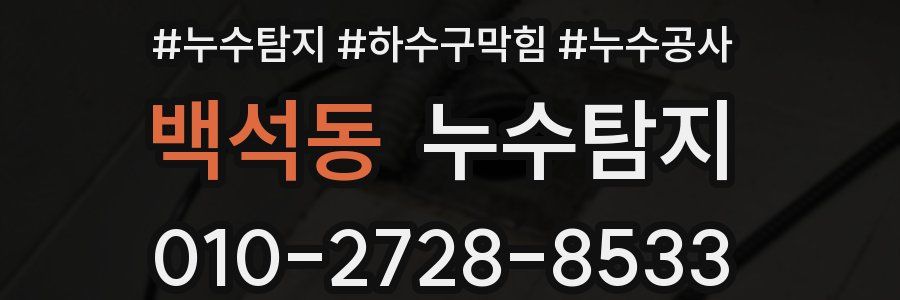 백석동 누수탐지업체
