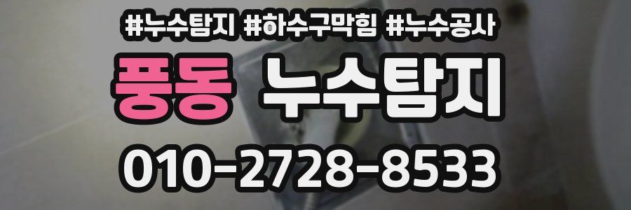 풍동 누수탐지업체
