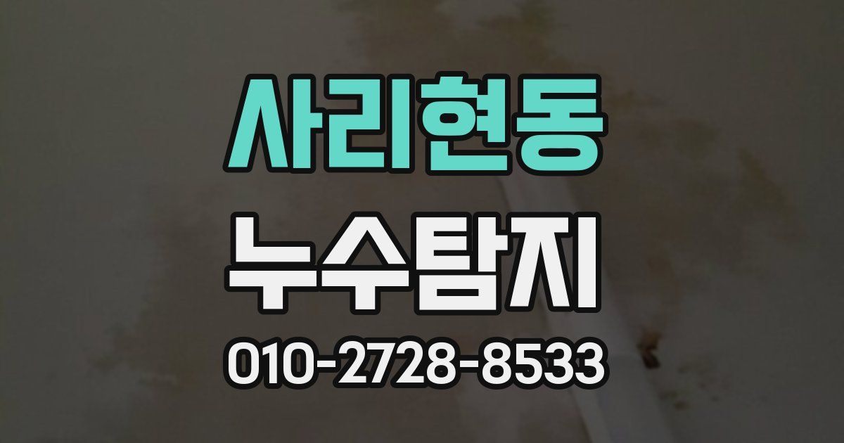사리현동 누수공사