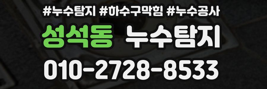 성석동 누수탐지업체