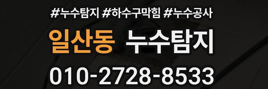 일산동 누수탐지업체