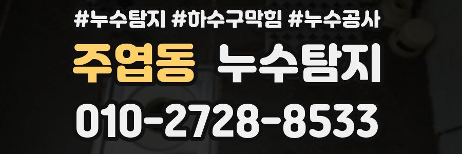 주엽동 누수탐지업체