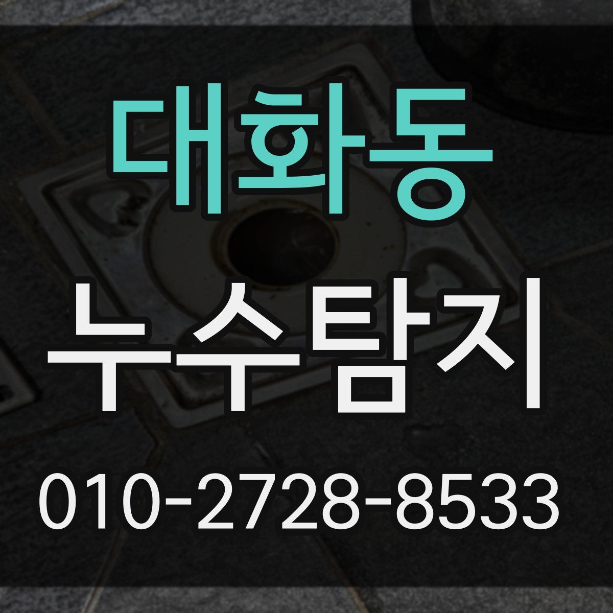 대화동 누수탐지