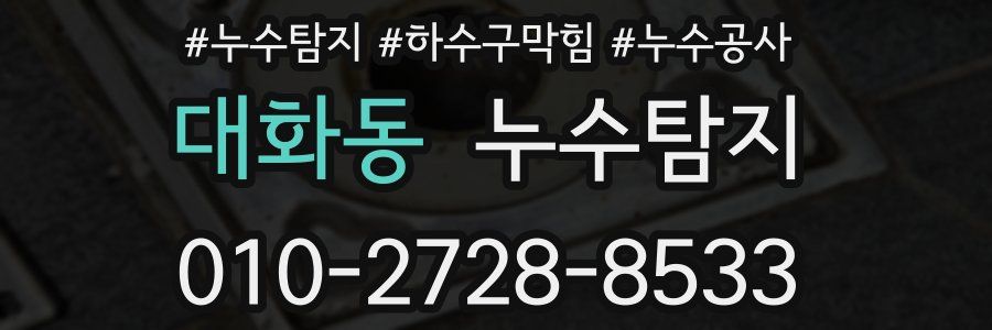 대화동 누수탐지업체
