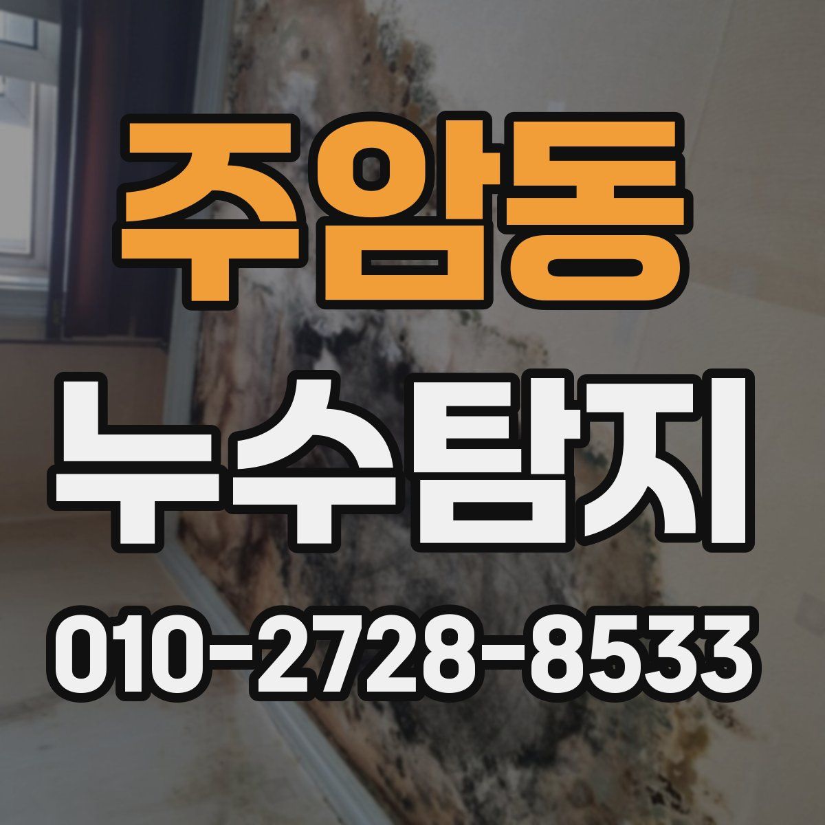 주암동 누수탐지