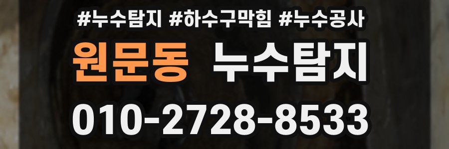 원문동 누수탐지업체