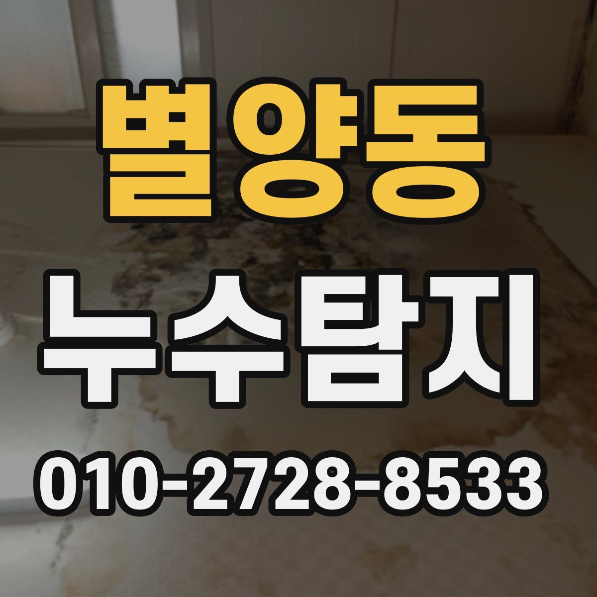 별양동 누수탐지