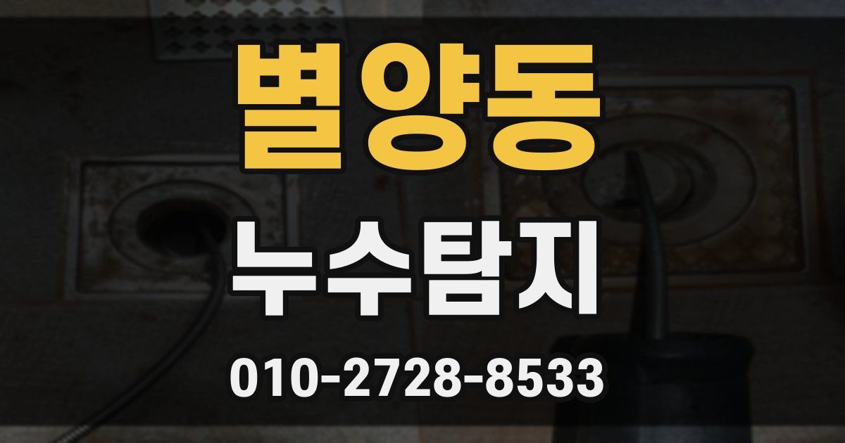 별양동 누수공사