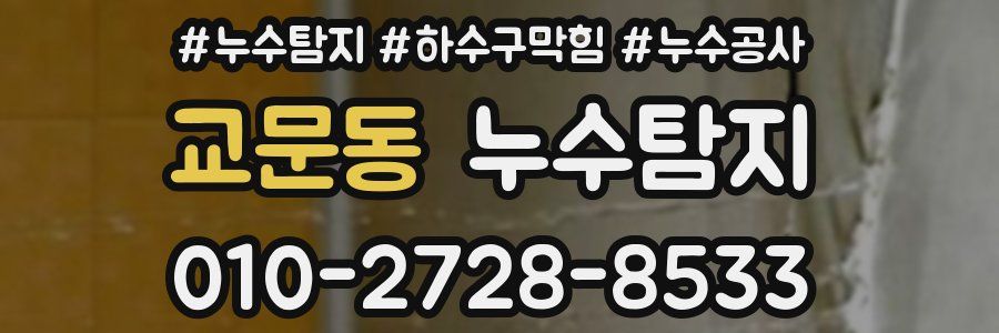 교문동 누수탐지업체