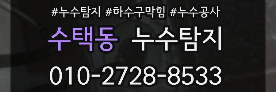 수택동 누수탐지업체