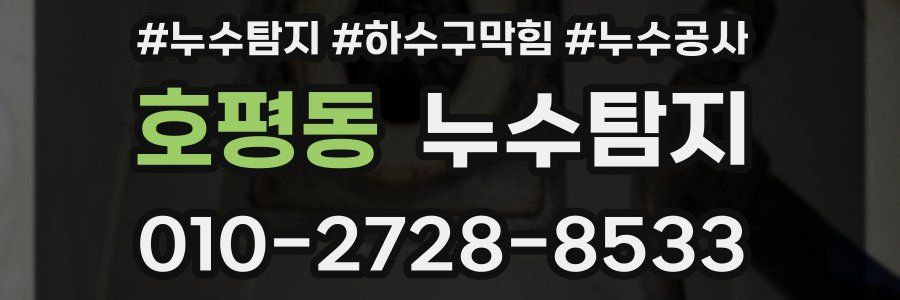 호평동 누수탐지업체