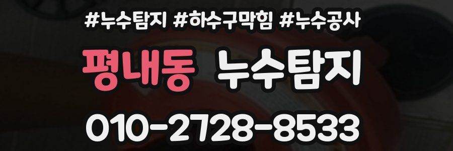평내동 누수탐지업체