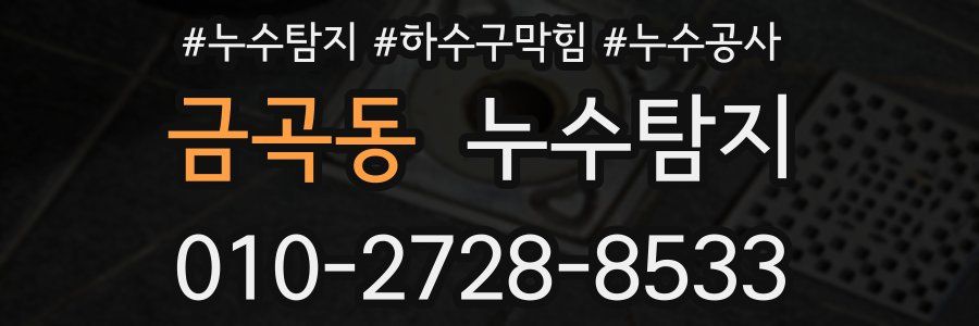 금곡동 누수탐지업체
