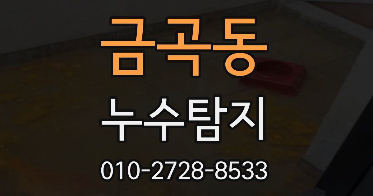 금곡동 누수공사