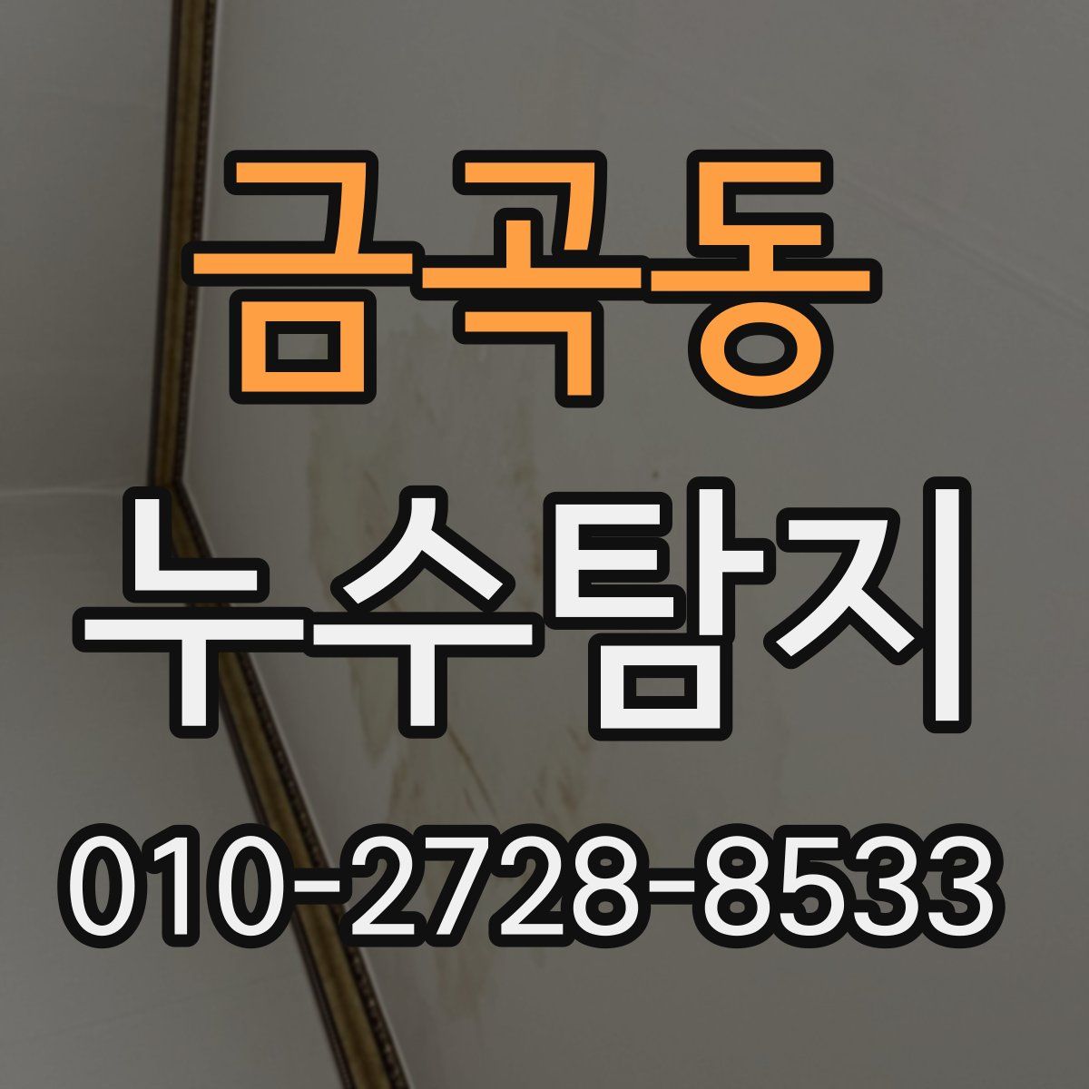 금곡동 누수탐지